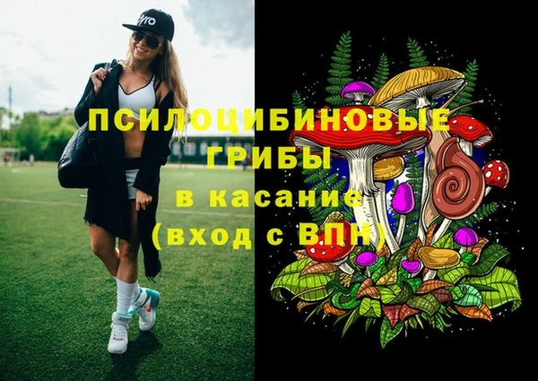 ECSTASY Алзамай