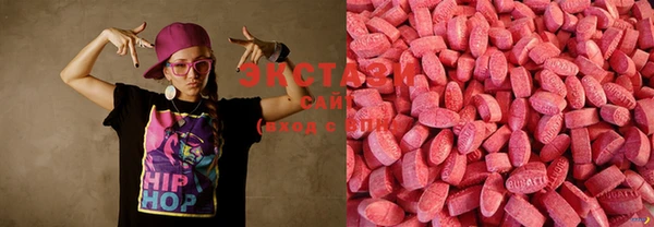 ECSTASY Алзамай