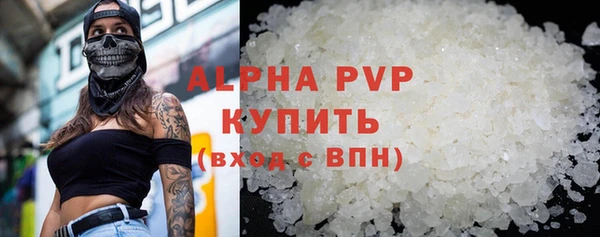 ECSTASY Алзамай