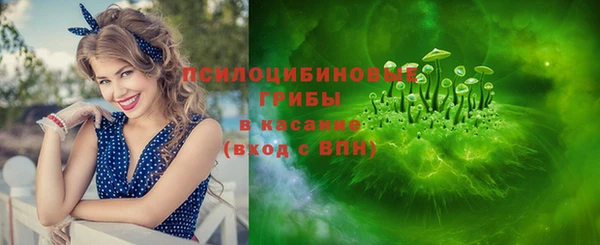 ECSTASY Алзамай