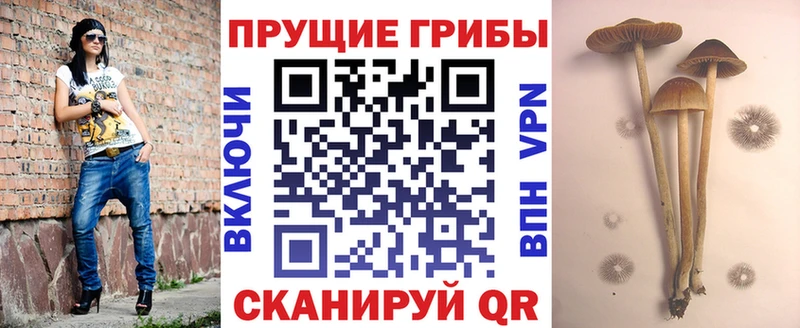 Галлюциногенные грибы Magic Shrooms  Белоозёрский 